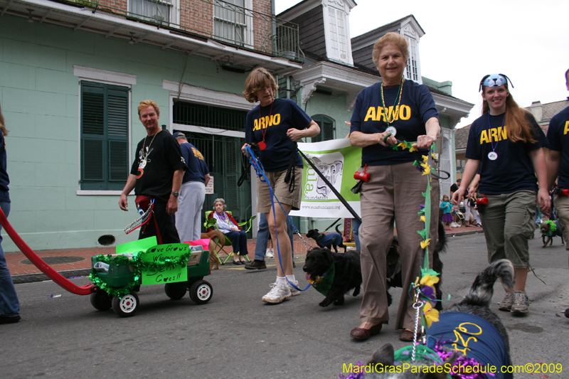 2009-Mystic-Krewe-of-Barkus-Mardi-Gras-French-Quarter-New-Orleans-Dog-Parade-0961