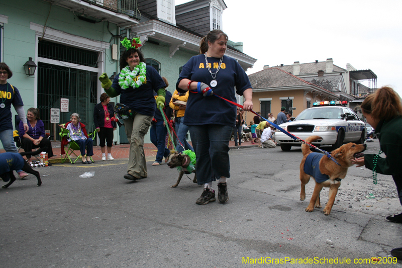 2009-Mystic-Krewe-of-Barkus-Mardi-Gras-French-Quarter-New-Orleans-Dog-Parade-0963