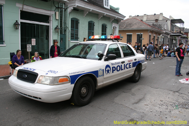 2009-Mystic-Krewe-of-Barkus-Mardi-Gras-French-Quarter-New-Orleans-Dog-Parade-0965