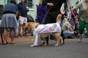 2009-Mystic-Krewe-of-Barkus-Mardi-Gras-French-Quarter-New-Orleans-Dog-Parade-0657