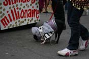 2009-Mystic-Krewe-of-Barkus-Mardi-Gras-French-Quarter-New-Orleans-Dog-Parade-0692