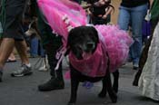 2009-Mystic-Krewe-of-Barkus-Mardi-Gras-French-Quarter-New-Orleans-Dog-Parade-0703