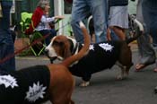 2009-Mystic-Krewe-of-Barkus-Mardi-Gras-French-Quarter-New-Orleans-Dog-Parade-0710