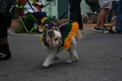 2009-Mystic-Krewe-of-Barkus-Mardi-Gras-French-Quarter-New-Orleans-Dog-Parade-0733