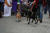 2009-Mystic-Krewe-of-Barkus-Mardi-Gras-French-Quarter-New-Orleans-Dog-Parade-0742