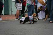 2009-Mystic-Krewe-of-Barkus-Mardi-Gras-French-Quarter-New-Orleans-Dog-Parade-0744