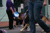 2009-Mystic-Krewe-of-Barkus-Mardi-Gras-French-Quarter-New-Orleans-Dog-Parade-0745