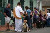 2009-Mystic-Krewe-of-Barkus-Mardi-Gras-French-Quarter-New-Orleans-Dog-Parade-0750