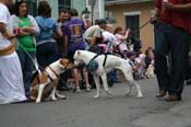 2009-Mystic-Krewe-of-Barkus-Mardi-Gras-French-Quarter-New-Orleans-Dog-Parade-0751