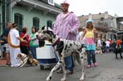 2009-Mystic-Krewe-of-Barkus-Mardi-Gras-French-Quarter-New-Orleans-Dog-Parade-0752