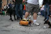 2009-Mystic-Krewe-of-Barkus-Mardi-Gras-French-Quarter-New-Orleans-Dog-Parade-0753