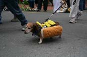 2009-Mystic-Krewe-of-Barkus-Mardi-Gras-French-Quarter-New-Orleans-Dog-Parade-0756