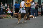 2009-Mystic-Krewe-of-Barkus-Mardi-Gras-French-Quarter-New-Orleans-Dog-Parade-0757