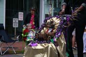 2009-Mystic-Krewe-of-Barkus-Mardi-Gras-French-Quarter-New-Orleans-Dog-Parade-0758