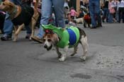 2009-Mystic-Krewe-of-Barkus-Mardi-Gras-French-Quarter-New-Orleans-Dog-Parade-0763