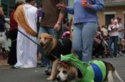 2009-Mystic-Krewe-of-Barkus-Mardi-Gras-French-Quarter-New-Orleans-Dog-Parade-0764