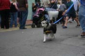 2009-Mystic-Krewe-of-Barkus-Mardi-Gras-French-Quarter-New-Orleans-Dog-Parade-0769