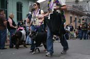 2009-Mystic-Krewe-of-Barkus-Mardi-Gras-French-Quarter-New-Orleans-Dog-Parade-0771