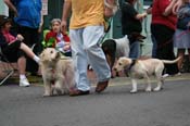 2009-Mystic-Krewe-of-Barkus-Mardi-Gras-French-Quarter-New-Orleans-Dog-Parade-0776