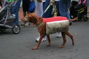 2009-Mystic-Krewe-of-Barkus-Mardi-Gras-French-Quarter-New-Orleans-Dog-Parade-0782