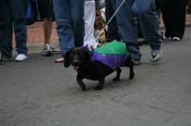 2009-Mystic-Krewe-of-Barkus-Mardi-Gras-French-Quarter-New-Orleans-Dog-Parade-0785