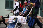 2009-Mystic-Krewe-of-Barkus-Mardi-Gras-French-Quarter-New-Orleans-Dog-Parade-0786