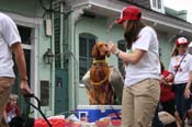 2009-Mystic-Krewe-of-Barkus-Mardi-Gras-French-Quarter-New-Orleans-Dog-Parade-0787