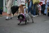 2009-Mystic-Krewe-of-Barkus-Mardi-Gras-French-Quarter-New-Orleans-Dog-Parade-0790