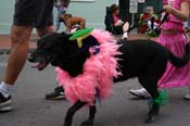 2009-Mystic-Krewe-of-Barkus-Mardi-Gras-French-Quarter-New-Orleans-Dog-Parade-0800