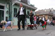 2009-Mystic-Krewe-of-Barkus-Mardi-Gras-French-Quarter-New-Orleans-Dog-Parade-0808