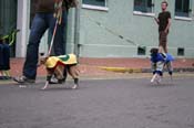 2009-Mystic-Krewe-of-Barkus-Mardi-Gras-French-Quarter-New-Orleans-Dog-Parade-0817