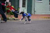 2009-Mystic-Krewe-of-Barkus-Mardi-Gras-French-Quarter-New-Orleans-Dog-Parade-0818