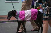 2009-Mystic-Krewe-of-Barkus-Mardi-Gras-French-Quarter-New-Orleans-Dog-Parade-0837