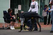 2009-Mystic-Krewe-of-Barkus-Mardi-Gras-French-Quarter-New-Orleans-Dog-Parade-0838