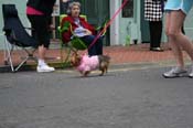 2009-Mystic-Krewe-of-Barkus-Mardi-Gras-French-Quarter-New-Orleans-Dog-Parade-0839