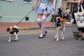 2009-Mystic-Krewe-of-Barkus-Mardi-Gras-French-Quarter-New-Orleans-Dog-Parade-0842