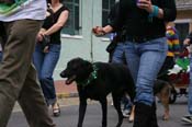 2009-Mystic-Krewe-of-Barkus-Mardi-Gras-French-Quarter-New-Orleans-Dog-Parade-0853