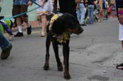 2009-Mystic-Krewe-of-Barkus-Mardi-Gras-French-Quarter-New-Orleans-Dog-Parade-0859