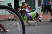 2009-Mystic-Krewe-of-Barkus-Mardi-Gras-French-Quarter-New-Orleans-Dog-Parade-0860