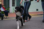 2009-Mystic-Krewe-of-Barkus-Mardi-Gras-French-Quarter-New-Orleans-Dog-Parade-0865