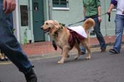 2009-Mystic-Krewe-of-Barkus-Mardi-Gras-French-Quarter-New-Orleans-Dog-Parade-0866