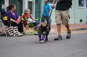 2009-Mystic-Krewe-of-Barkus-Mardi-Gras-French-Quarter-New-Orleans-Dog-Parade-0881