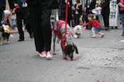 2009-Mystic-Krewe-of-Barkus-Mardi-Gras-French-Quarter-New-Orleans-Dog-Parade-0884