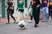 2009-Mystic-Krewe-of-Barkus-Mardi-Gras-French-Quarter-New-Orleans-Dog-Parade-0890