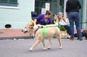 2009-Mystic-Krewe-of-Barkus-Mardi-Gras-French-Quarter-New-Orleans-Dog-Parade-0912