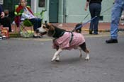 2009-Mystic-Krewe-of-Barkus-Mardi-Gras-French-Quarter-New-Orleans-Dog-Parade-0915