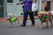 2009-Mystic-Krewe-of-Barkus-Mardi-Gras-French-Quarter-New-Orleans-Dog-Parade-0919