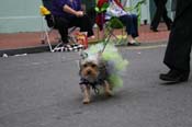 2009-Mystic-Krewe-of-Barkus-Mardi-Gras-French-Quarter-New-Orleans-Dog-Parade-0920