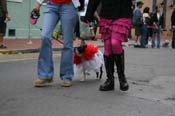 2009-Mystic-Krewe-of-Barkus-Mardi-Gras-French-Quarter-New-Orleans-Dog-Parade-0923