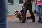 2009-Mystic-Krewe-of-Barkus-Mardi-Gras-French-Quarter-New-Orleans-Dog-Parade-0927